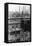 Pittsburgh Slums-Arthur Rothstein-Framed Stretched Canvas