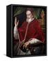 Pius V (1504-1572)-null-Framed Stretched Canvas