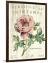 Pivoine de Printemps-Sue Schlabach-Framed Art Print