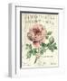 Pivoine de Printemps-Sue Schlabach-Framed Art Print