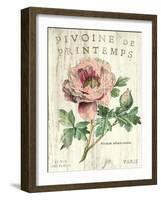 Pivoine de Printemps-Sue Schlabach-Framed Premium Giclee Print