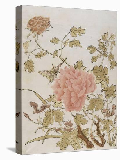 Pivoines et papillons-null-Stretched Canvas