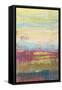 Pixel Plane I-Jennifer Goldberger-Framed Stretched Canvas