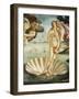 Pixelated Venus on the Halfshell-Studio W-Framed Art Print