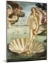 Pixelated Venus on the Halfshell-Studio W-Mounted Art Print