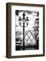 Pixels Print Series-Philippe Hugonnard-Framed Photographic Print