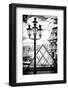 Pixels Print Series-Philippe Hugonnard-Framed Photographic Print