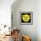 Pixels Print Series-Philippe Hugonnard-Framed Photographic Print displayed on a wall