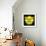 Pixels Print Series-Philippe Hugonnard-Framed Photographic Print displayed on a wall