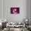 Pixels Print Series-Philippe Hugonnard-Framed Stretched Canvas displayed on a wall