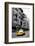 Pixels Print Series-Philippe Hugonnard-Framed Photographic Print