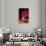 Pixels Print Series-Philippe Hugonnard-Stretched Canvas displayed on a wall