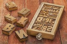 Letterpress Wood Type Blocks in a Typesetter Drawer against Rustic Red Barn Wood-PixelsAway-Art Print