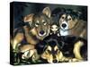 Pixie Dogs - Fairy Dog Picture-Jasmine Becket-Griffith-Stretched Canvas