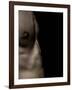 Pixoboo-Fabio Panichi-Framed Photographic Print