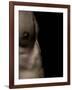 Pixoboo-Fabio Panichi-Framed Photographic Print