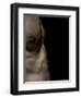 Pixoboo-Fabio Panichi-Framed Photographic Print