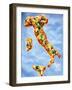 Pizza in Shape of Map of Italy-null-Framed Photographic Print