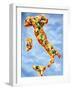 Pizza in Shape of Map of Italy-null-Framed Photographic Print
