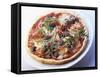 Pizza Topped with Prosciutto, Olives, Capers and Rocket-Joachim Turré-Framed Stretched Canvas