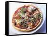 Pizza Topped with Prosciutto, Olives, Capers and Rocket-Joachim Turré-Framed Stretched Canvas