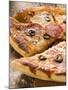 Pizza with Salami, Cheese and Olives, Pieces Cut-null-Mounted Photographic Print