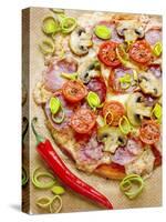 Pizza with Salami, Mushrooms, Tomatoes, Leek, Mozzarella and Chillis-Ira Leoni-Stretched Canvas