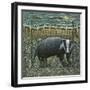 Black Frame