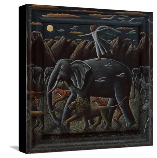 Stretched Canvas Print, , large
