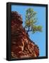 Essential Black
