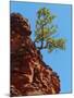 Wood Mount