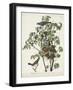 Pl 122 Blue Grosbeak-John Audubon-Framed Art Print