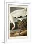 Pl 226 Hooping Crane-John James Audubon-Framed Art Print