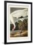 Pl 226 Hooping Crane-John James Audubon-Framed Art Print