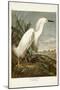 Pl 242 Snowy Heron-John James Audubon-Mounted Art Print