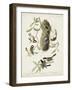 Pl 353 Black-capt Titmouse-John Audubon-Framed Art Print