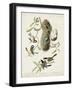 Pl 353 Black-capt Titmouse-John Audubon-Framed Art Print