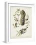 Pl 353 Black-capt Titmouse-John Audubon-Framed Art Print