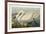 Pl 411 Common American Swan-John James Audubon-Framed Art Print
