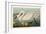 Pl 411 Common American Swan-John James Audubon-Framed Art Print