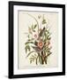 Pl 93 Seaside Finch-John James Audubon-Framed Art Print