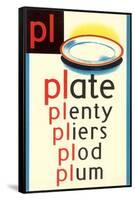 PL for Plate-null-Framed Stretched Canvas