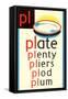 PL for Plate-null-Framed Stretched Canvas