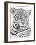 Placate-Barbara Keith-Framed Giclee Print