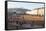 Place Bellecour, Lyon, Rhone-Alpes, France, Europe-Oliviero-Framed Stretched Canvas