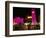 Place d'Etoile at Night, Beirut, Lebanon, Middle East-Alison Wright-Framed Photographic Print