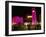 Place d'Etoile at Night, Beirut, Lebanon, Middle East-Alison Wright-Framed Photographic Print