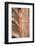 Place De La Cathedrale in Strasbourg, Bas-Rhin, Alsace, France, Europe-Julian Elliott-Framed Photographic Print