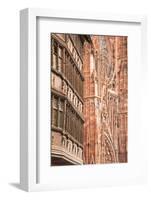 Place De La Cathedrale in Strasbourg, Bas-Rhin, Alsace, France, Europe-Julian Elliott-Framed Photographic Print