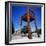 Place Des Nations and the Palais Des Nations, Geneva, Switzerland, Europe-Stuart Black-Framed Photographic Print